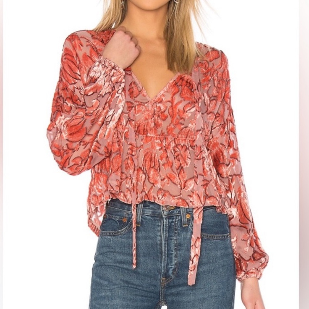 ALEXIS 100% silk devore Blouse in Velvet Floral size XS/S
